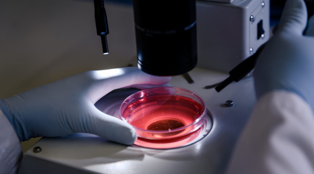 Що таке цитологія