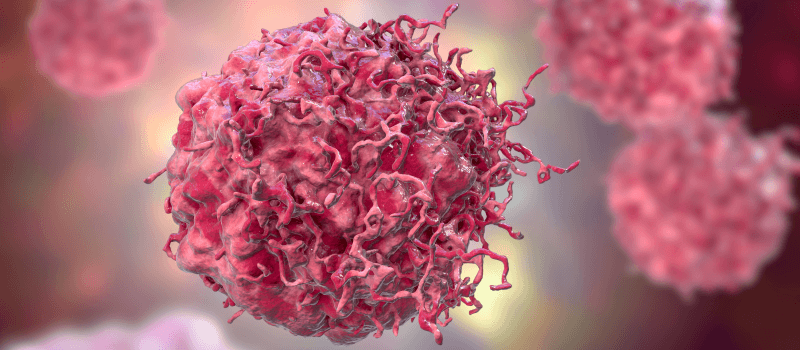 новоутворення