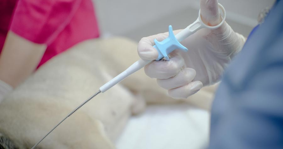 Пайпель-біопсія та вишкрібання порожнини матки